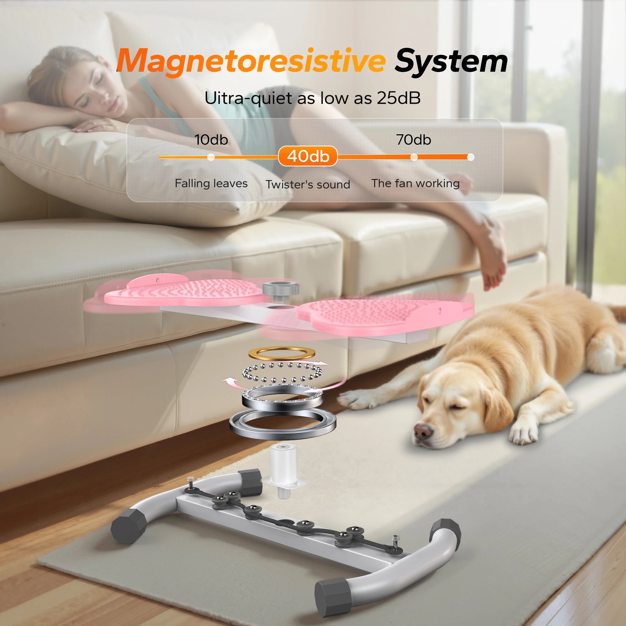 CoreTwist Balance Board